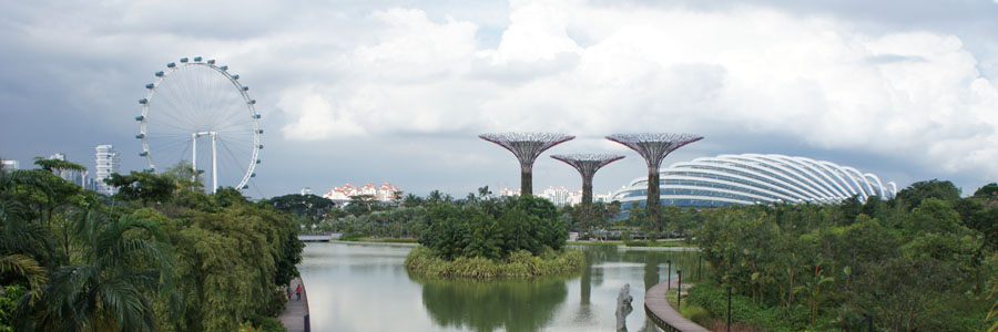 Singapore View