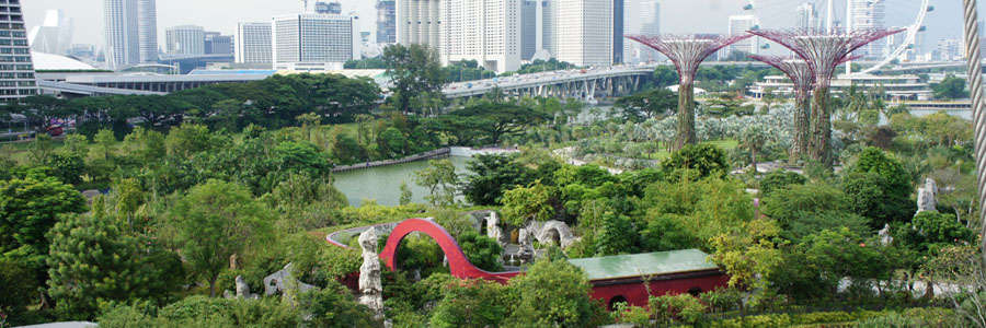 Singapore View